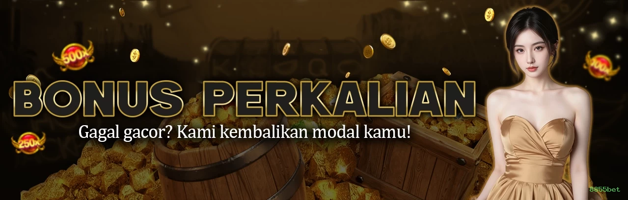 App 8855bet slots mobile